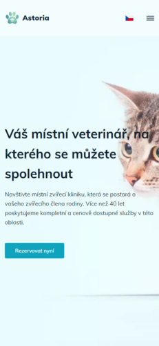 Náhled v mobilu Astoria