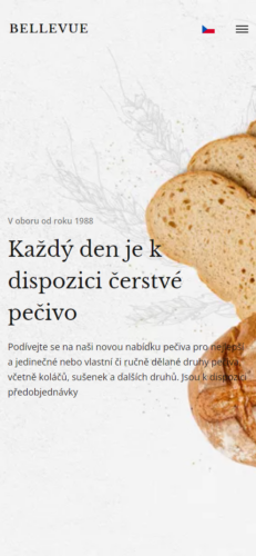 Náhled v mobilu Bellevue